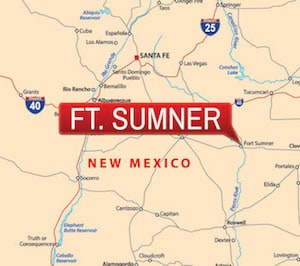 Ft. Sumner – De Baca County Traffic Cases